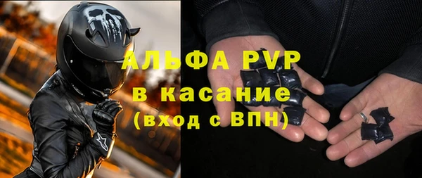 прущие грибы Михайлов