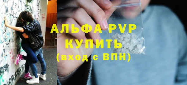 прущие грибы Михайлов