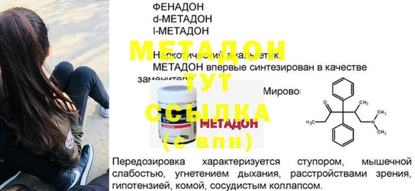 прущие грибы Михайлов