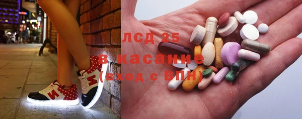 прущие грибы Михайлов