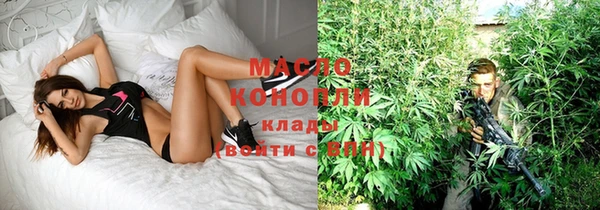 прущие грибы Михайлов