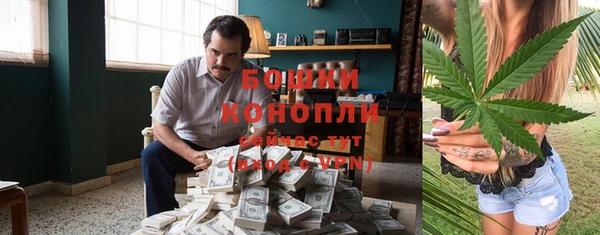 прущие грибы Михайлов