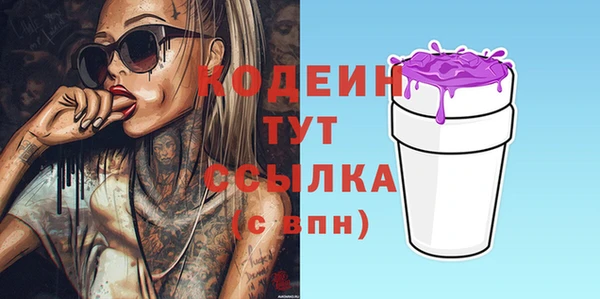 прущие грибы Михайлов