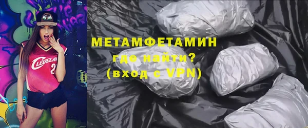 прущие грибы Михайлов
